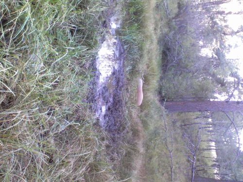 0906111801.jpg 0906111801.jpg