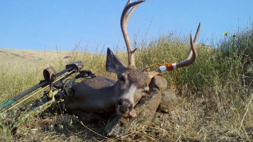 2011-09-07_07-54-37_961.jpg 2011-09-07_07-54-37_961.jpg