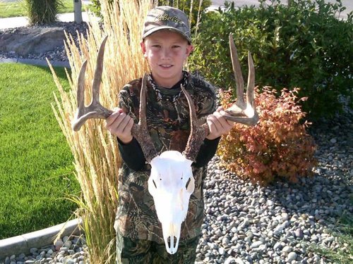 2011 Whitetail Euro.jpg