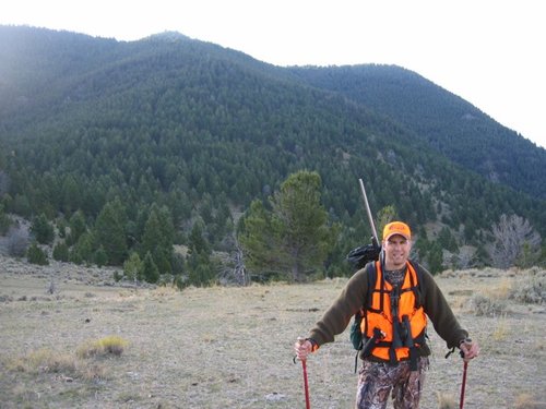 redknob elk.JPG