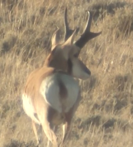 Screen Shot 2011-09-25 at 8.12.10 PM.jpg Screen Shot 2011-09-25 at 8.12.10 PM.jpg