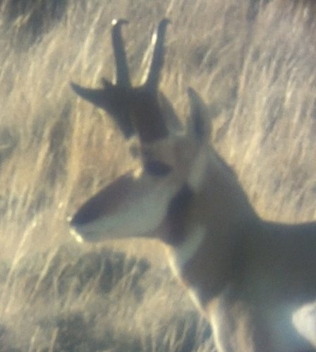 Screen Shot 2011-09-25 at 8.13.44 PM.jpg Screen Shot 2011-09-25 at 8.13.44 PM.jpg