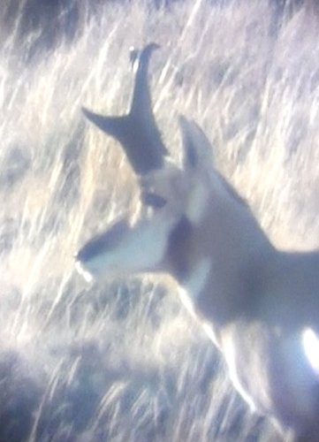 Screen Shot 2011-09-25 at 8.14.07 PM.jpg Screen Shot 2011-09-25 at 8.14.07 PM.jpg