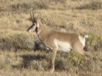 DSC00368.jpg DSC00368.jpg