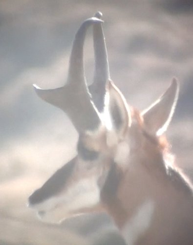 Screen Shot 2011-10-05 at 6.21.13 PM.jpg Screen Shot 2011-10-05 at 6.21.13 PM.jpg