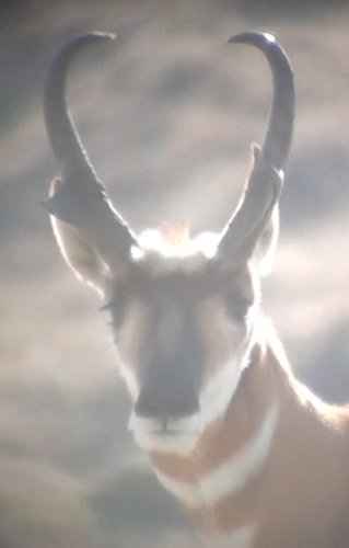 Screen Shot 2011-10-05 at 6.22.00 PM.jpg Screen Shot 2011-10-05 at 6.22.00 PM.jpg