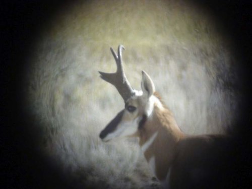 DSC00377.jpg DSC00377.jpg