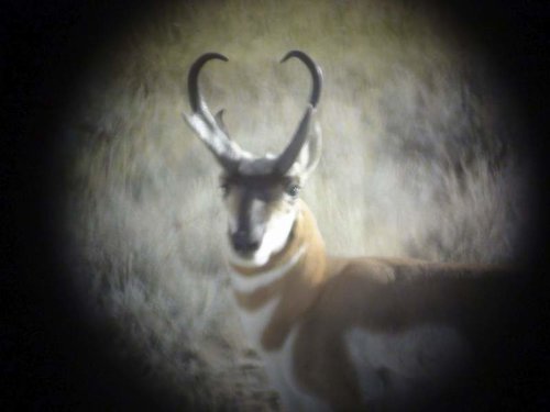 DSC00376.jpg DSC00376.jpg