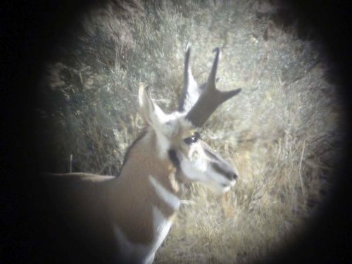 DSC00372.jpg DSC00372.jpg