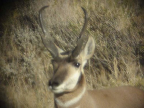 DSC00387.jpg DSC00387.jpg