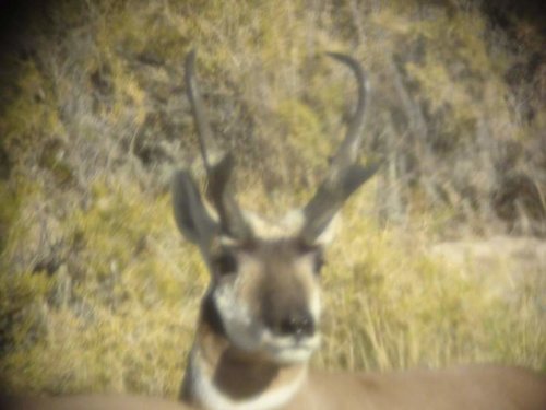 DSC00386.jpg DSC00386.jpg