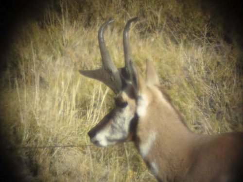 DSC00383.jpg DSC00383.jpg