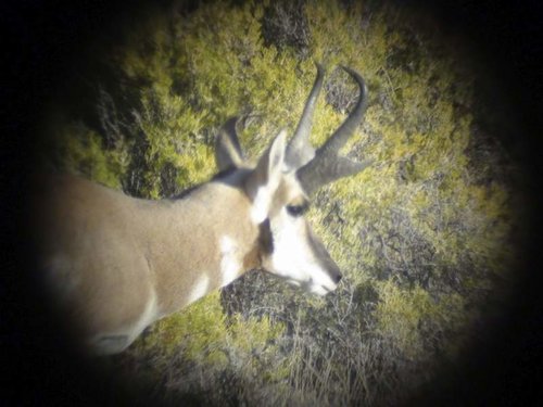 DSC00369.jpg DSC00369.jpg