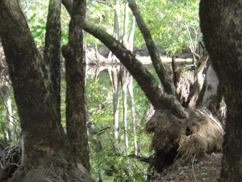 DSC01102.JPG
