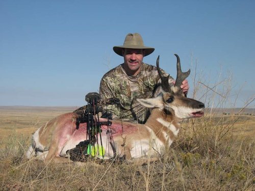 2011 Archery Antelope.jpg