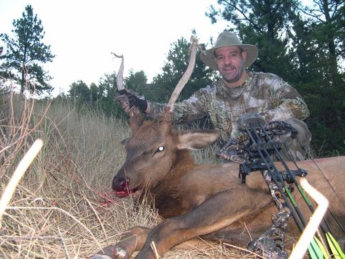 2011 Archery Elk.jpg