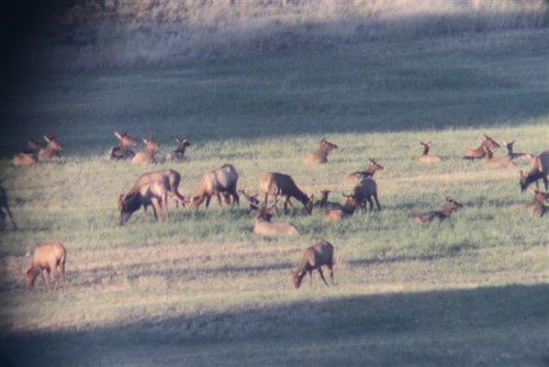 IMG_0444.JPG IMG_0444.JPG