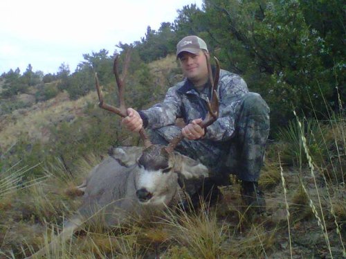 2011 Buck.jpg