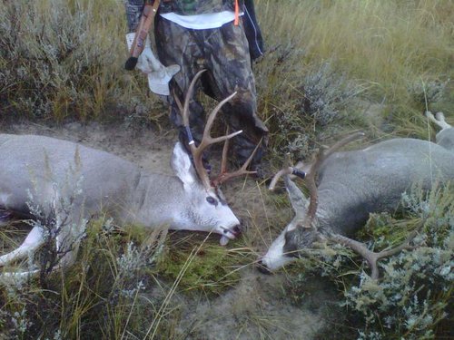 2011 buck4.jpg