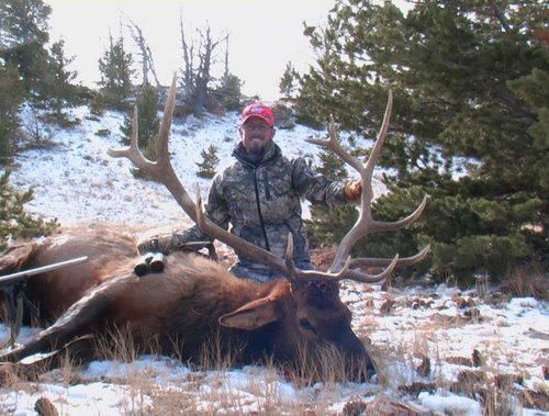 Aaron's Elk 2011 010.jpg