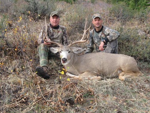 2011 Idaho deer 023.jpg