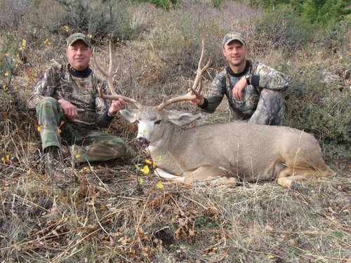 2011 Idaho deer 024.jpg