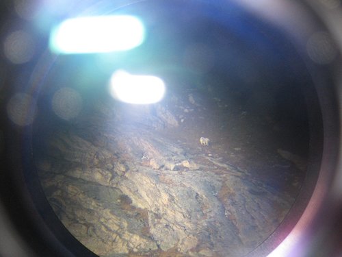IMG_3771a.jpg IMG_3771a.jpg