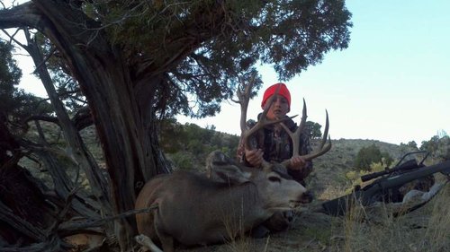 jarren deer1.jpg