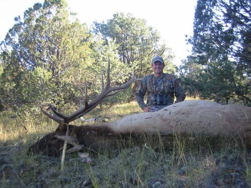 IMG_3906a.jpg IMG_3906a.jpg