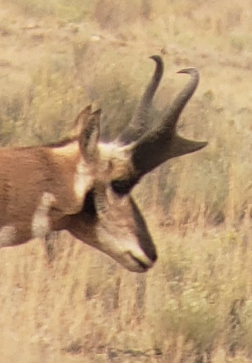 20201102_125745.jpg 20201102_125745.jpg