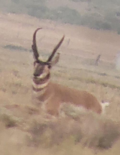 20201102_125841.jpg 20201102_125841.jpg