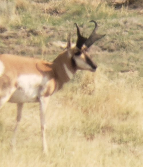 20201102_125855.jpg 20201102_125855.jpg