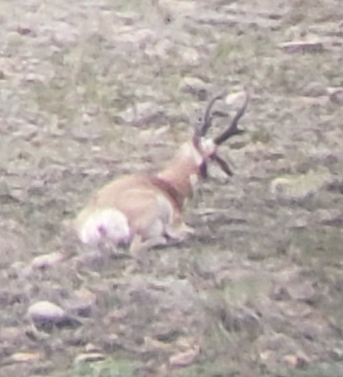 20201102_131313.jpg 20201102_131313.jpg