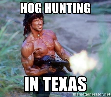 hog-hunting-in-texas.jpg