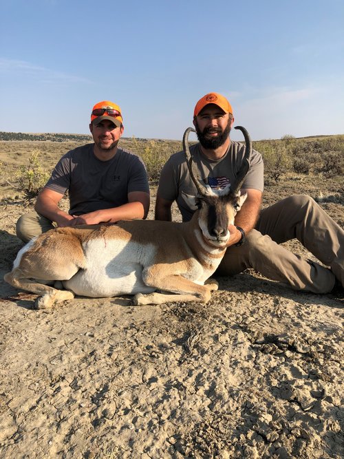 pronghorn 1.jpg