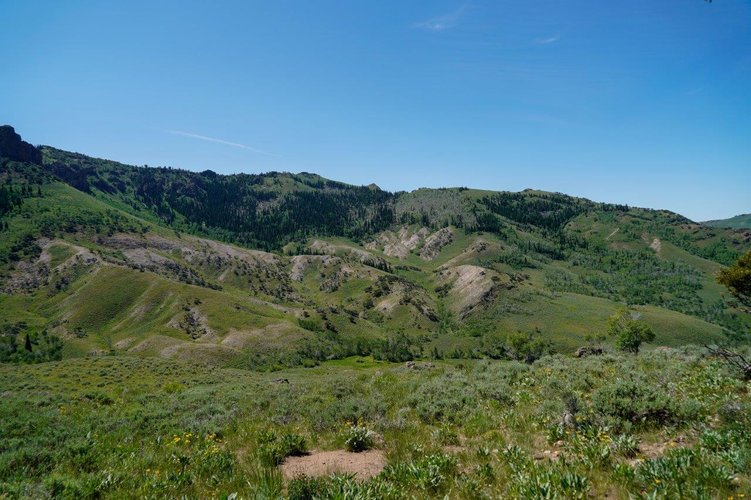 _DSC4136.jpg _DSC4136.jpg