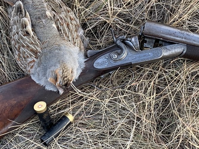 1A697272-D68E-4FF7-B032-8990E67FED7D.jpeg 1A697272-D68E-4FF7-B032-8990E67FED7D.jpeg