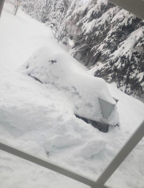 Snow two.jpg