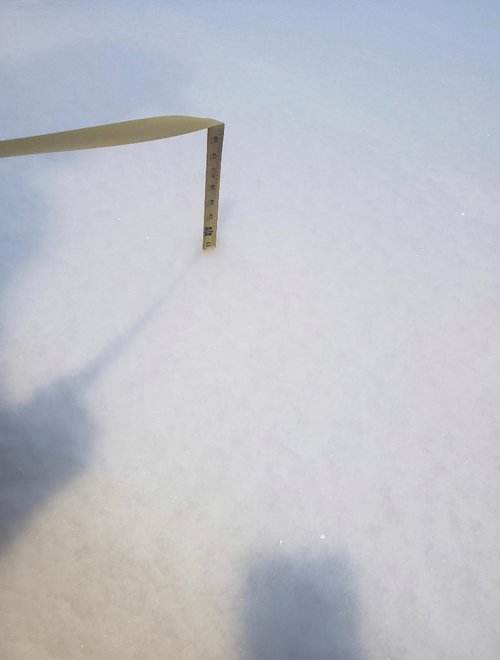 Snow one.jpg