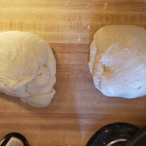 pre ferment loaves.jpg pre ferment loaves.jpg