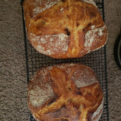finished loaves.jpg