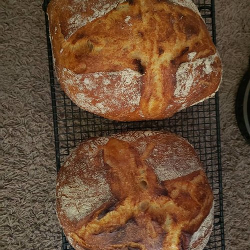 finished loaves.jpg finished loaves.jpg