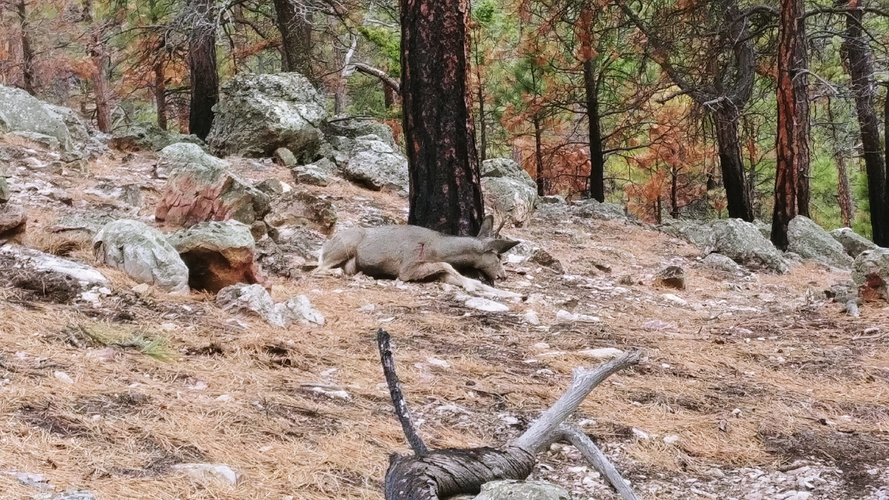 1107201454.jpg 1107201454.jpg