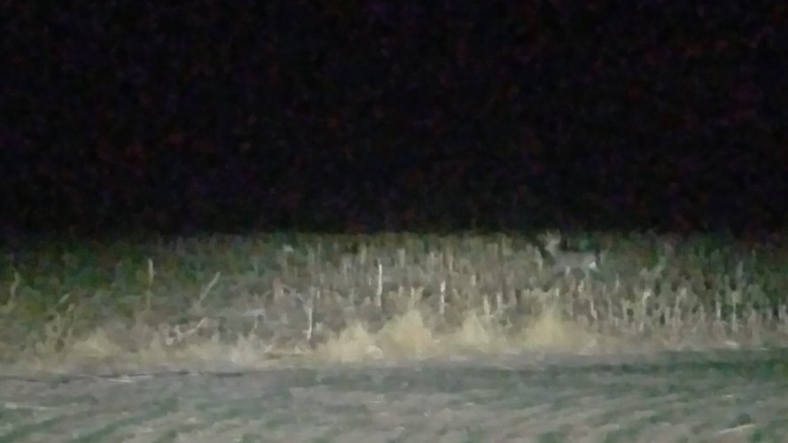 Screenshot_20201109-204924_Video Player.jpg