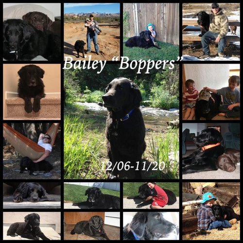 IMG_2247.jpg IMG_2247.jpg