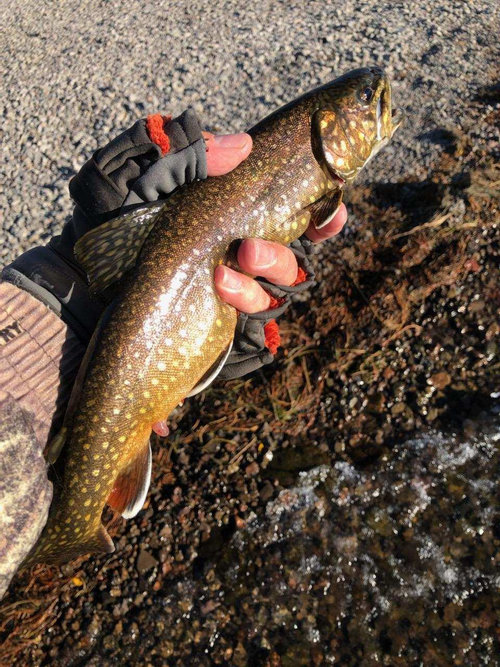 Troy Adams 10-24-20L.jpg