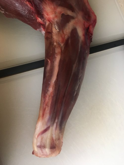 6AC10A4E-3916-4FE4-AEB0-32E5BA1B24BB.jpeg 6AC10A4E-3916-4FE4-AEB0-32E5BA1B24BB.jpeg