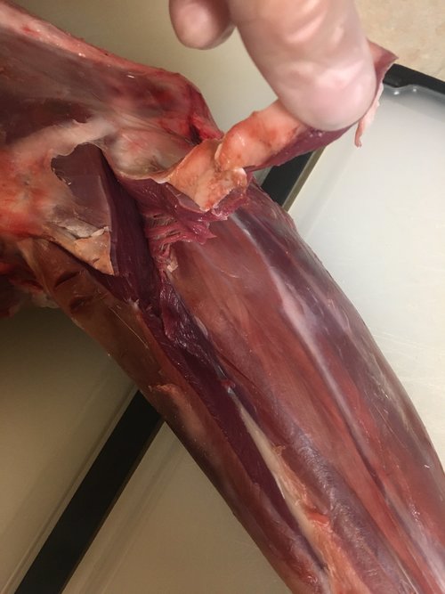 442BB96F-44D9-4270-9C24-37C3CE4FFBF4.jpeg 442BB96F-44D9-4270-9C24-37C3CE4FFBF4.jpeg