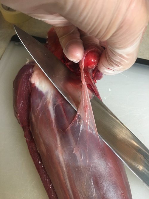 ABDA402C-B960-495C-AD11-849C90A83EE5.jpeg ABDA402C-B960-495C-AD11-849C90A83EE5.jpeg