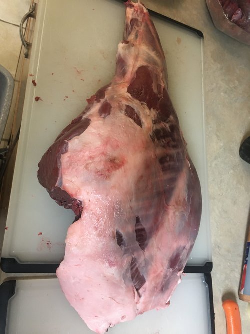 E54B66B0-5451-43C4-991E-A6A32F86B7DE.jpeg E54B66B0-5451-43C4-991E-A6A32F86B7DE.jpeg